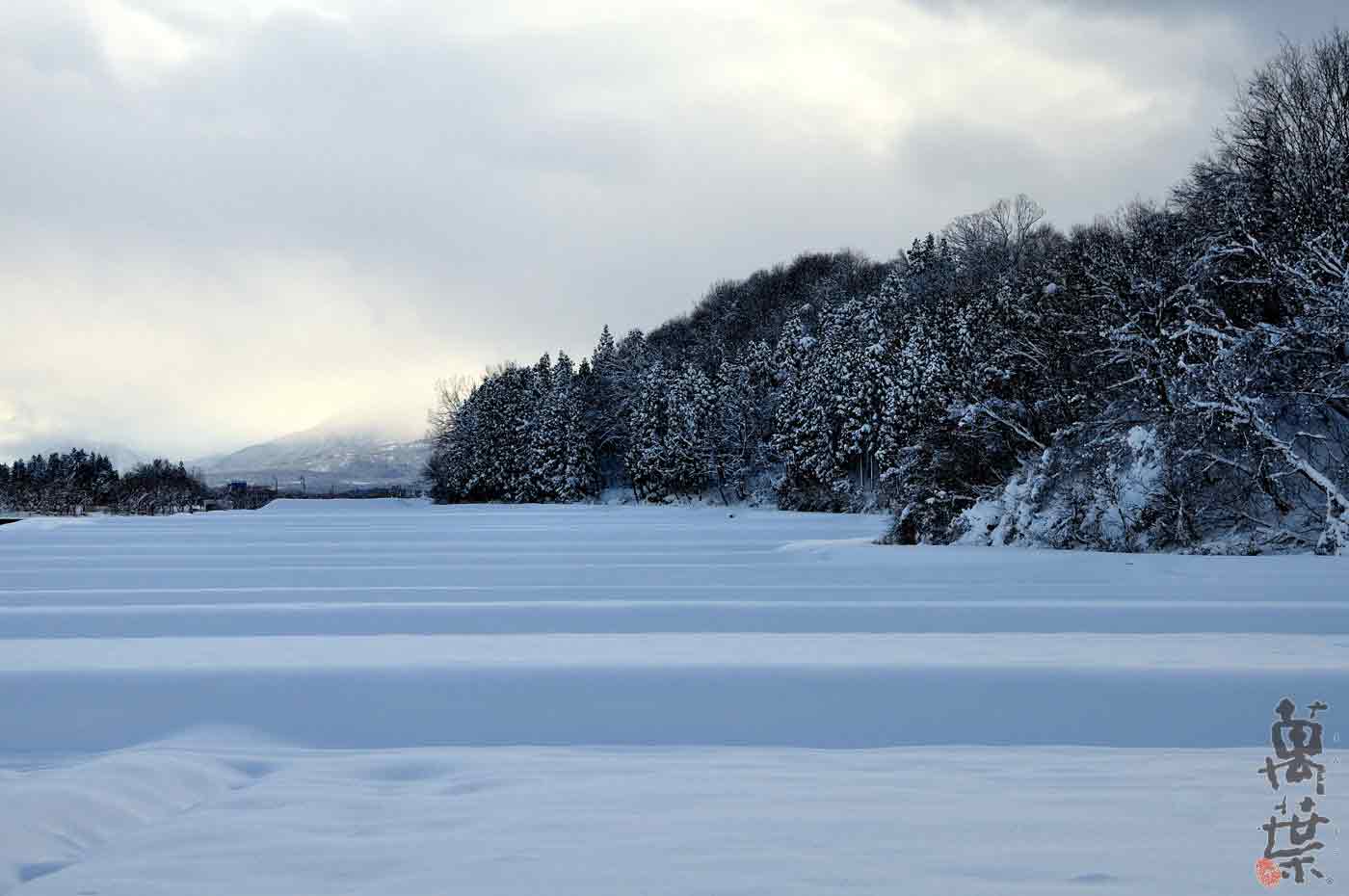 新潟県上越市の雪に覆われた段々田んぼ風景